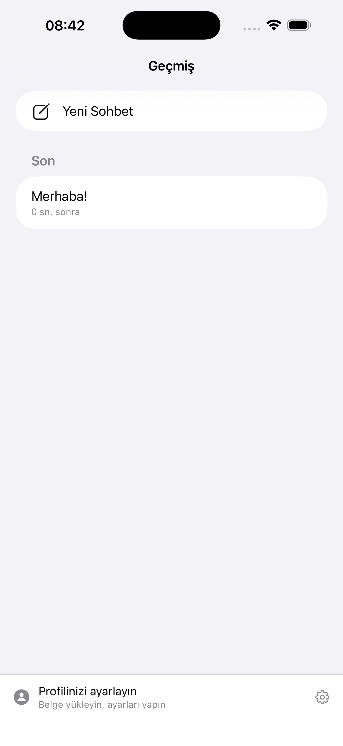 Chat history with conversation list and quick access to recent sessions