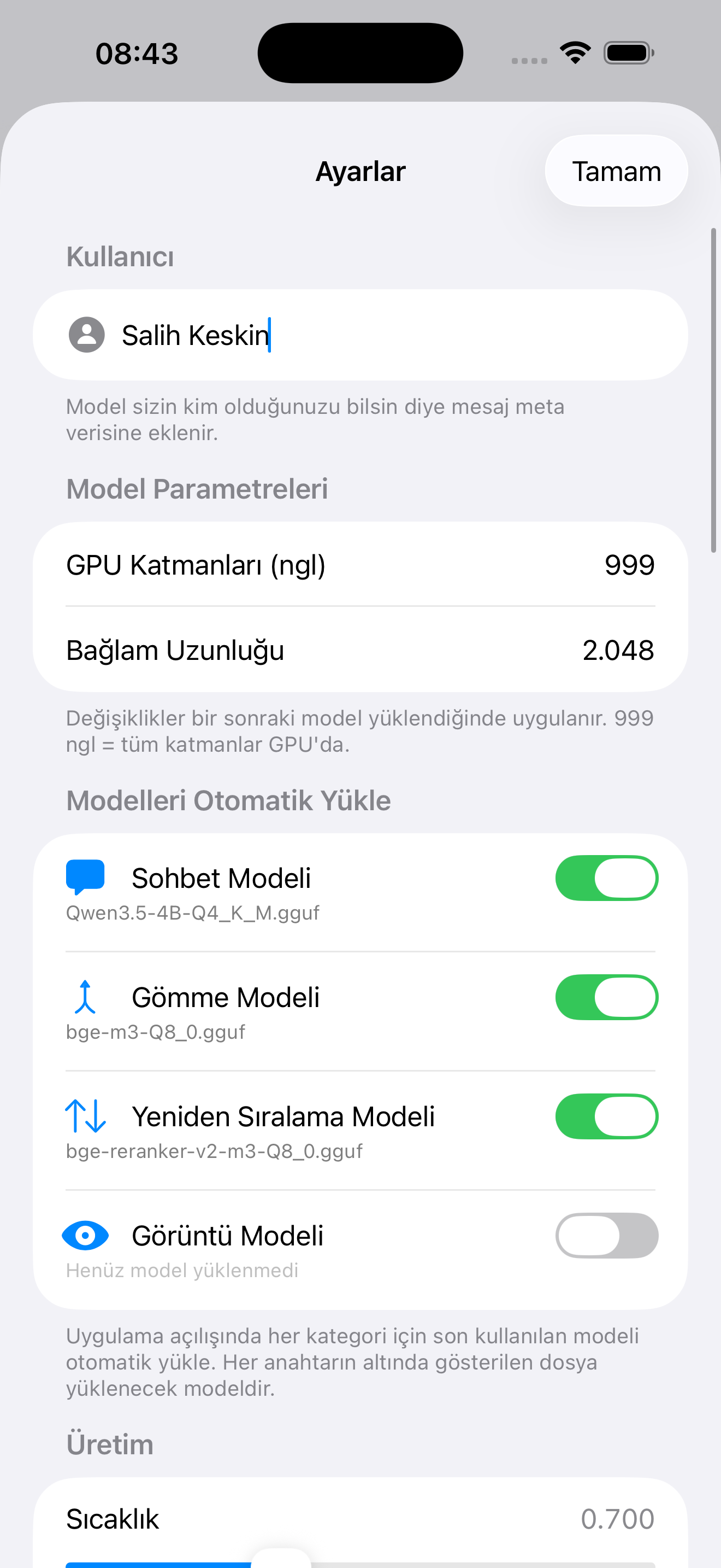 Comprehensive settings — GPU layers, context length, auto-load models, embedding & reranker config