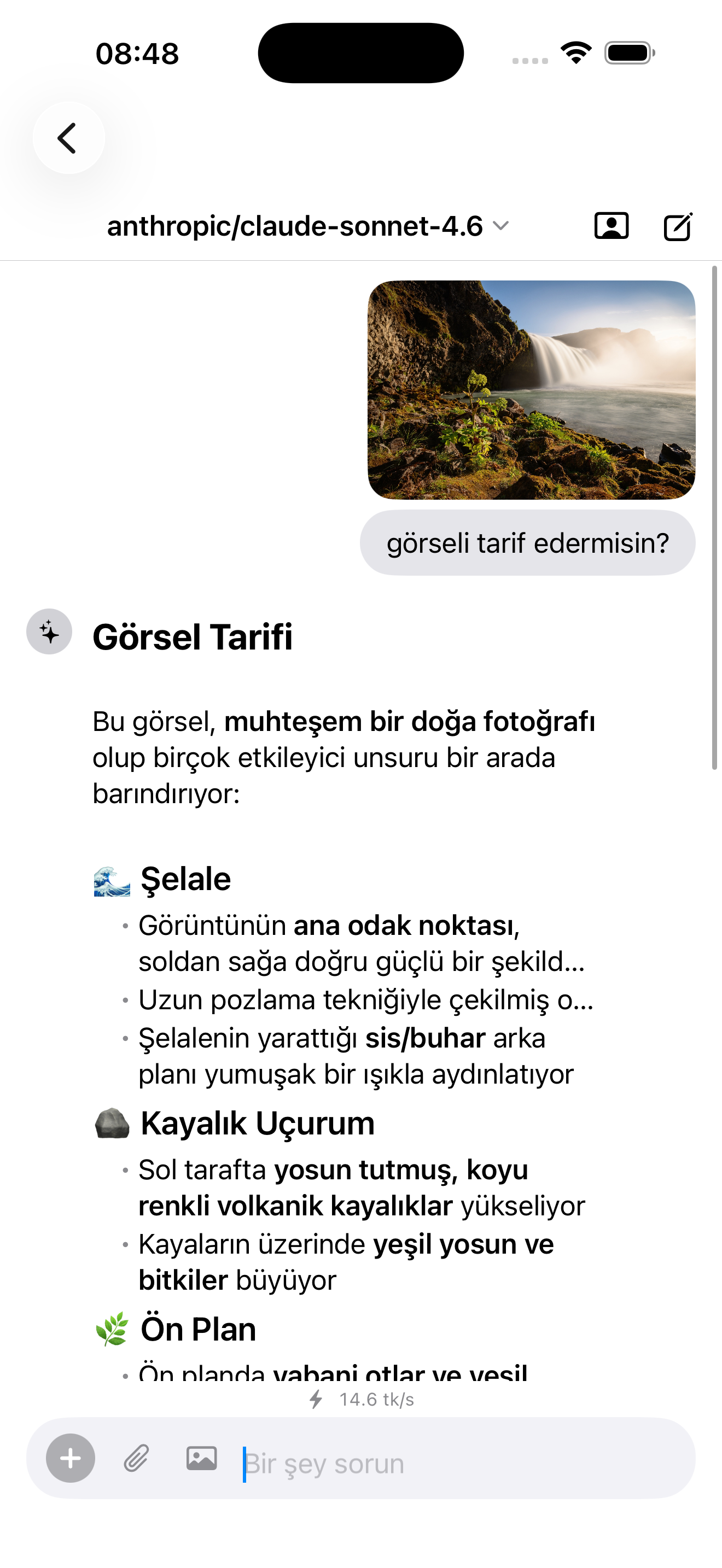 Image analysis on iPhone — multimodal vision with Claude describing a waterfall photo