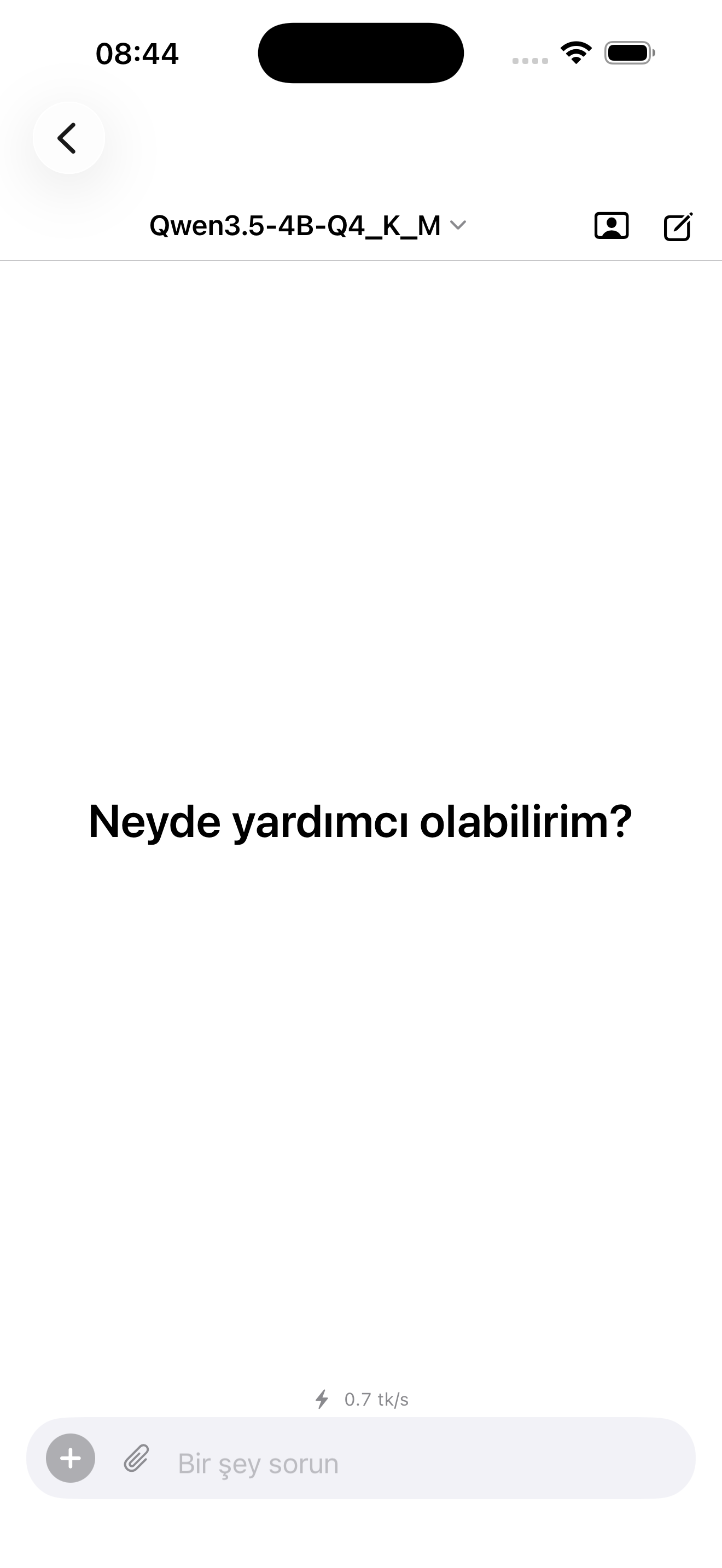 Clean welcome screen with model selector and performance indicator